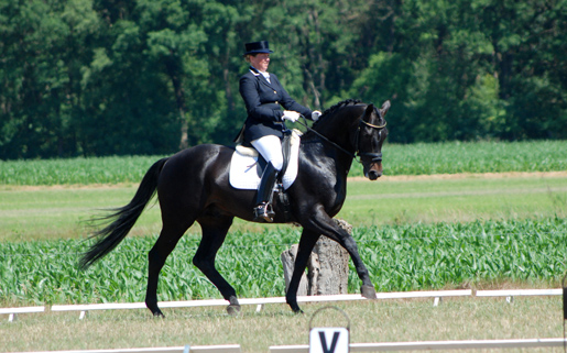 Annemiek Vincourt Dressage 